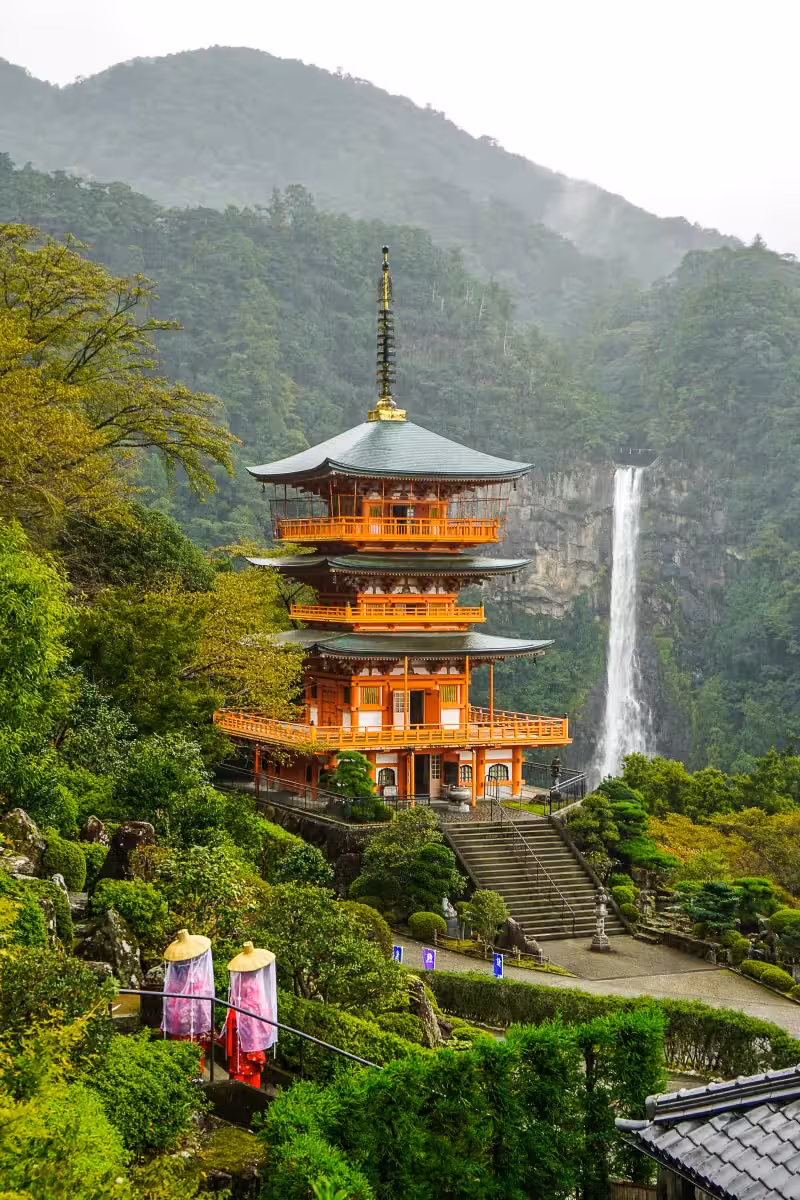 Sendero de Kumano Kodo entre árboles en la península de Kii, Japón.