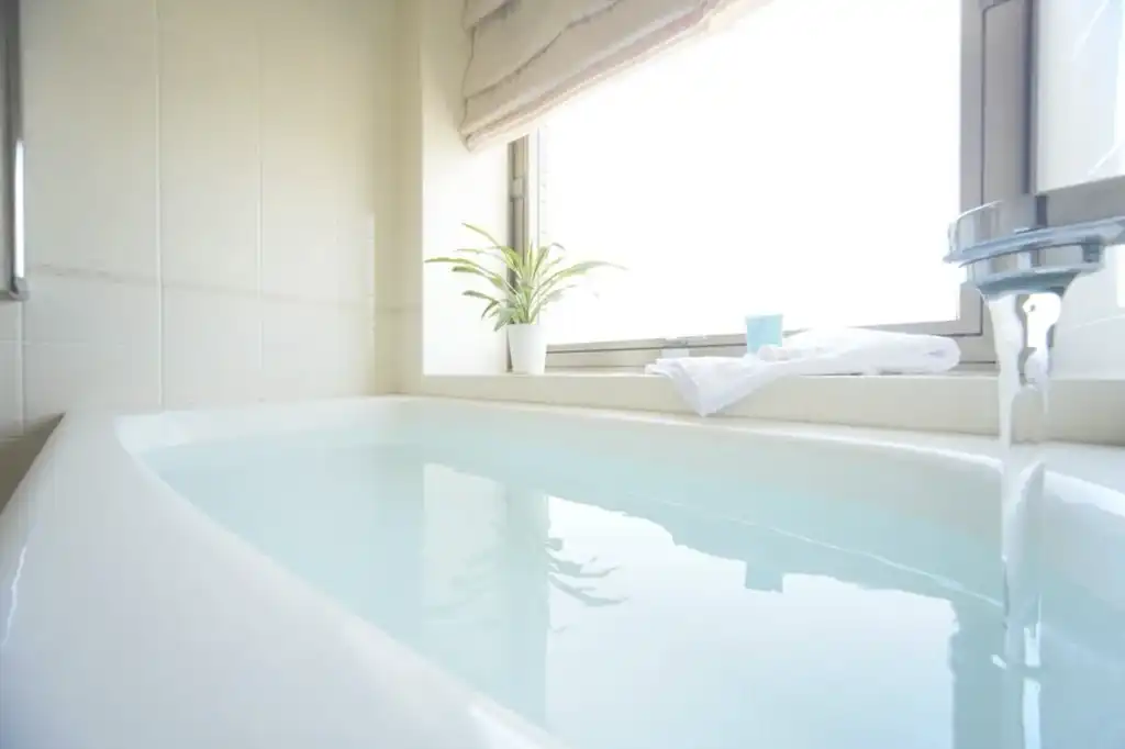 Viajes a Japon Desde México Hotel Nikko Princess Kyoto 05