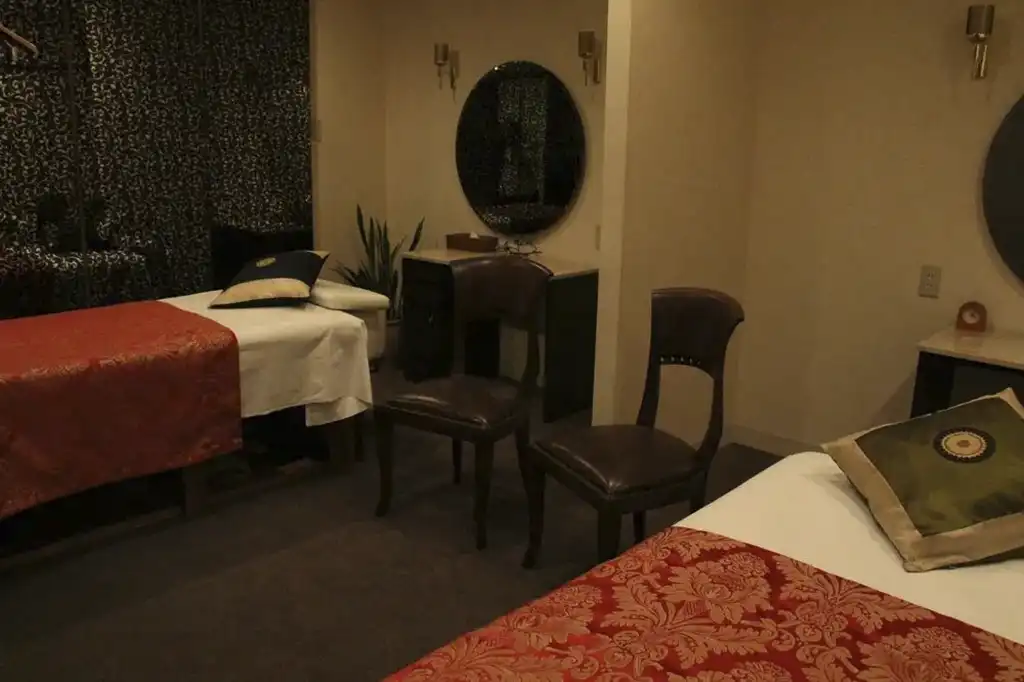 Viajes a Japon Desde México Hotel Nikko Princess Kyoto 06