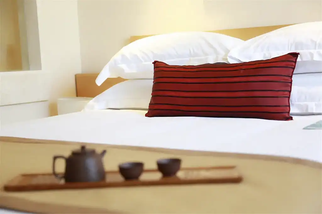 Tours a Japon Hotel Jinglun 04